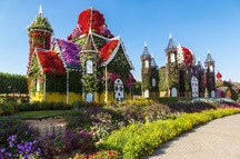 Dubai Miracle Garden on a Sunny Day Dubai Miracle Garden on a Sunny Day